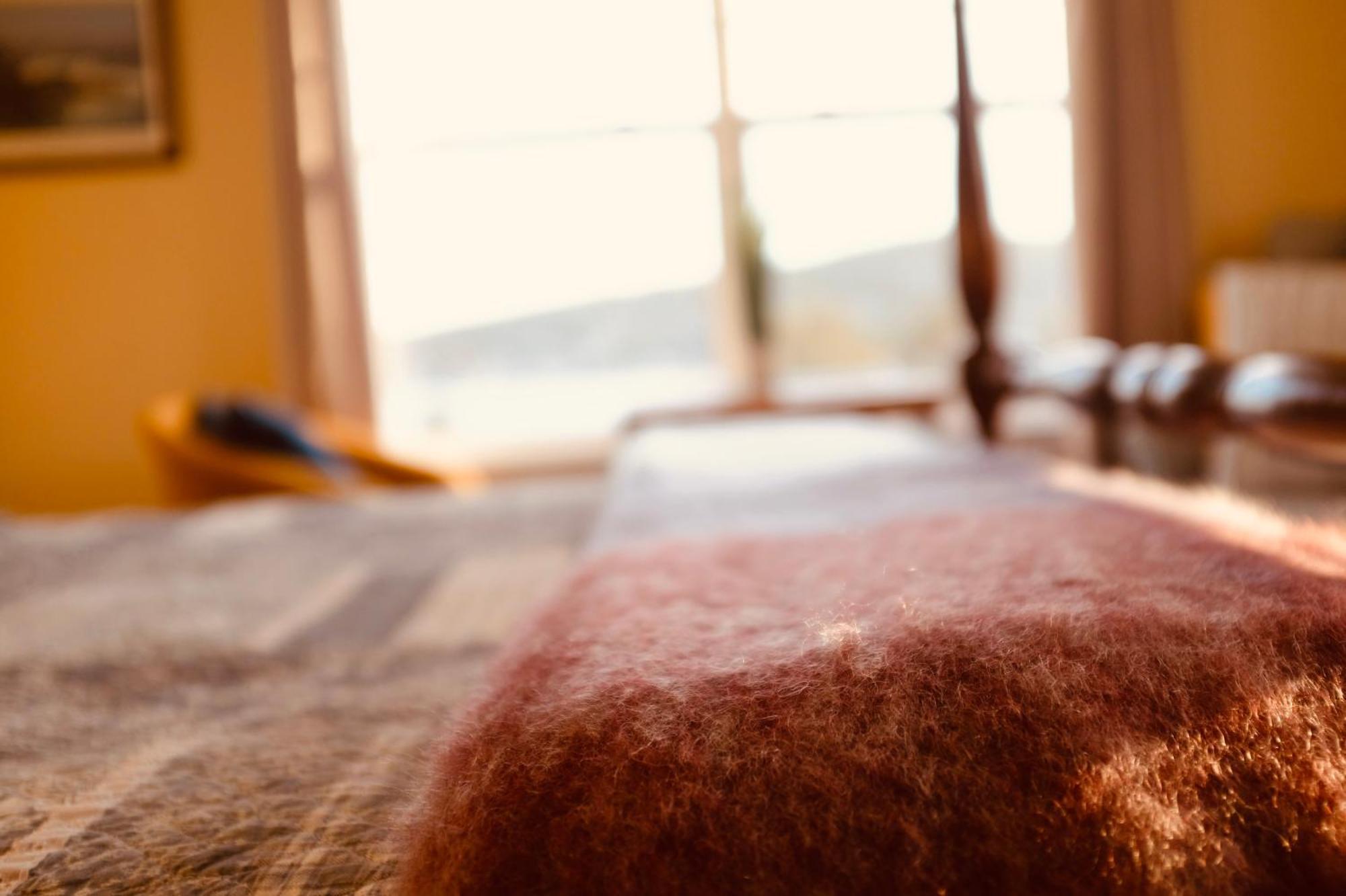The Bread And Cheese Country Inn Bay Bulls Εξωτερικό φωτογραφία